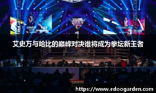 星空XK体育平台